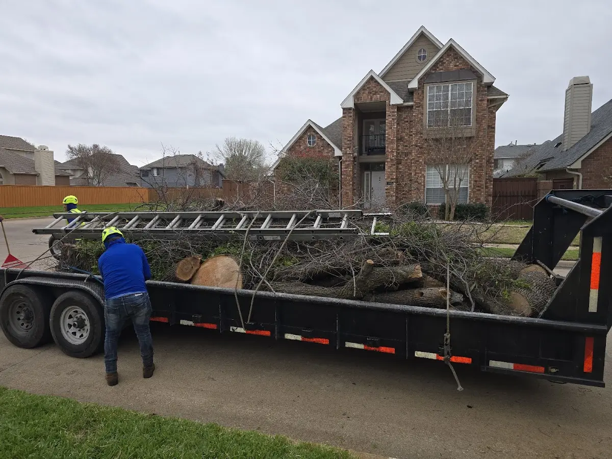 Expert Tree Fertilization with proper safety equipment in Deridder